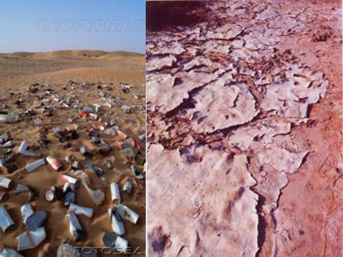 守护大地之基 土壤污染综合防治策略与服务体系建设