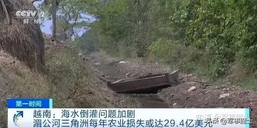 德崇扶南运河开建 地缘经济新动脉与土壤环境保护的双重考量