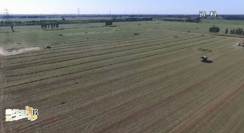 广电关注 十三五 期间 我市土壤污染防治扎实推进