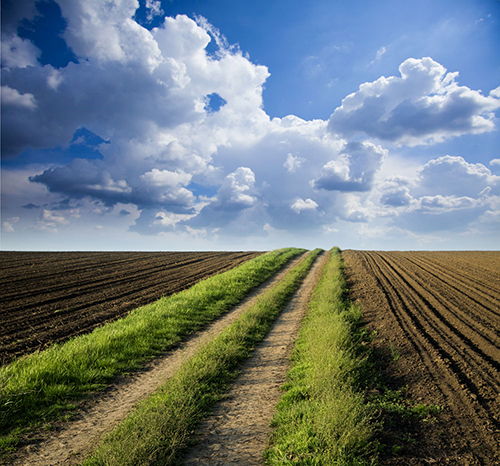 “土十条”出台 初步遏制全国土壤污染加重趋势
